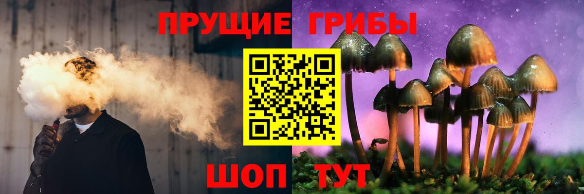 Гагарин  Галлюциногенные грибы Magic Shrooms  Вход с VPN 